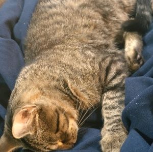 Meet your Posher, Teri